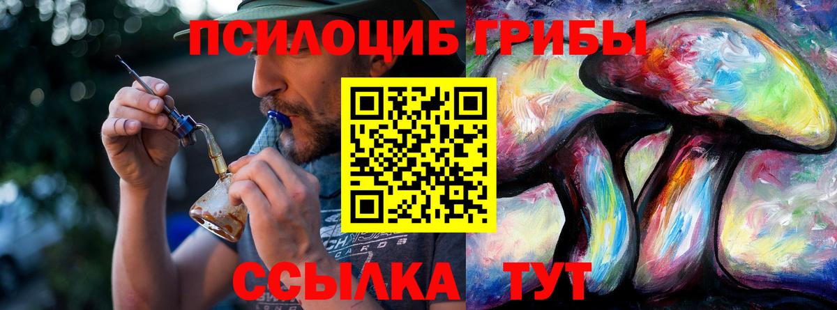 Галлюциногенные грибы прущие грибы  Вход с VPN  Жигулёвск 